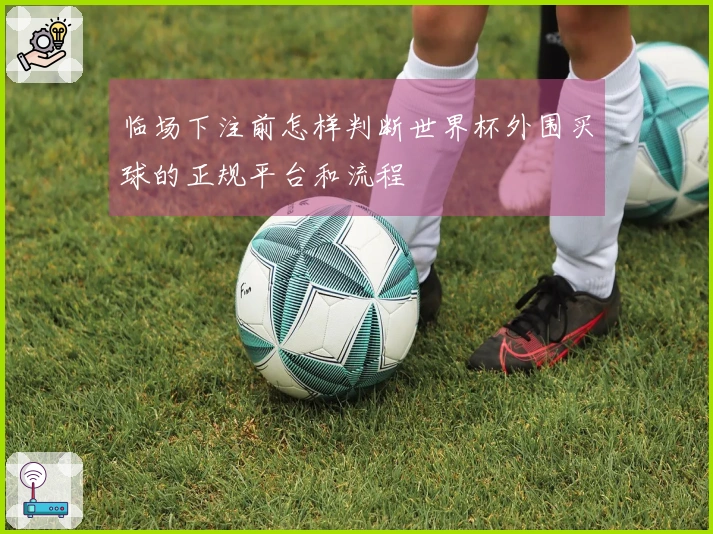 临场下注前怎样判断世界杯外围买球的正规平台和流程