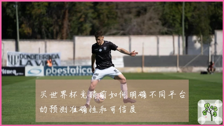 买世界杯竞猜前如何明确不同平台的预测准确性和可信度