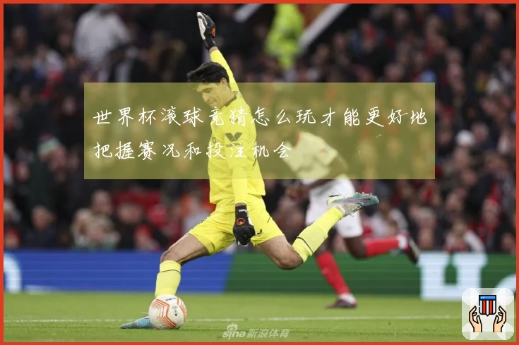 世界杯滚球竞猜怎么玩才能更好地把握赛况和投注机会