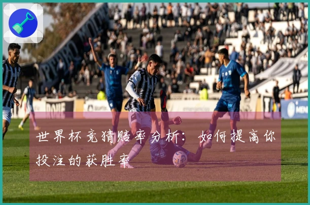 世界杯竞猜赔率分析：如何提高你投注的获胜率