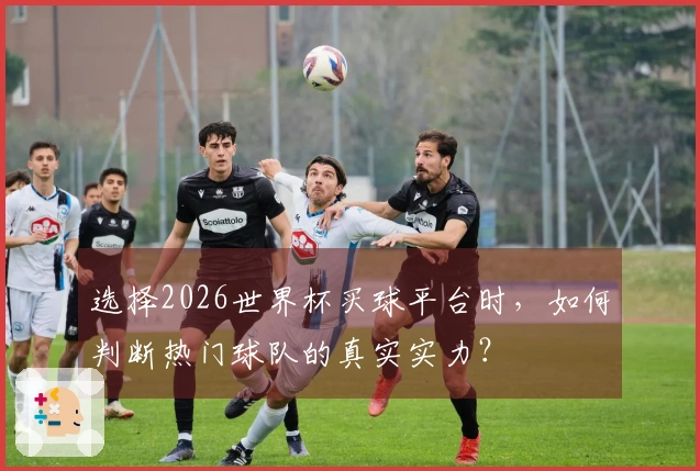 选择2026世界杯买球平台时,如何判断热门球队的真实实力?